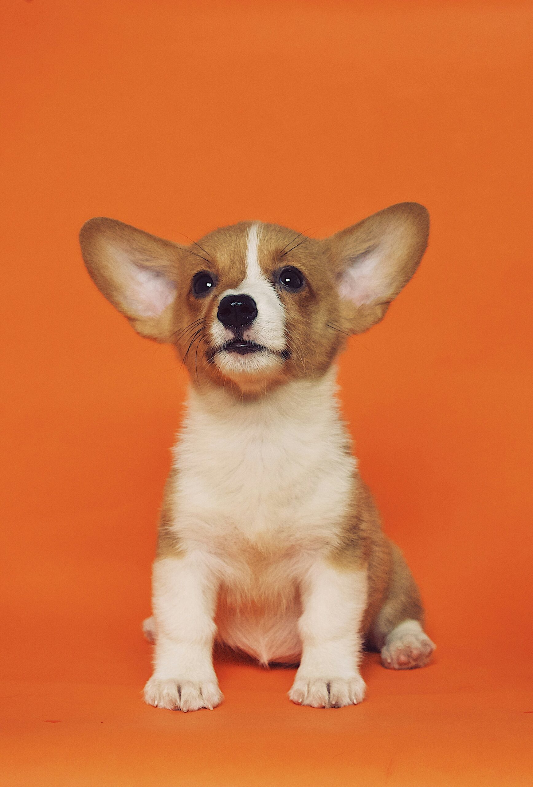 Hello world!